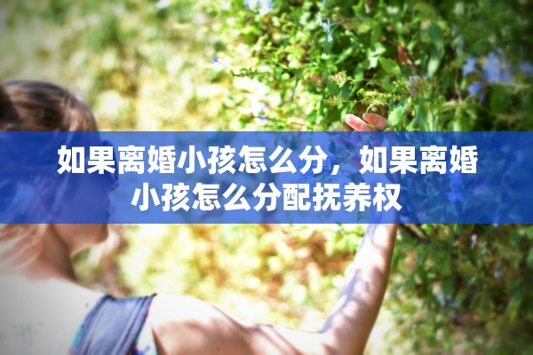 如果离婚小孩怎么分，如果离婚小孩怎么分配抚养权