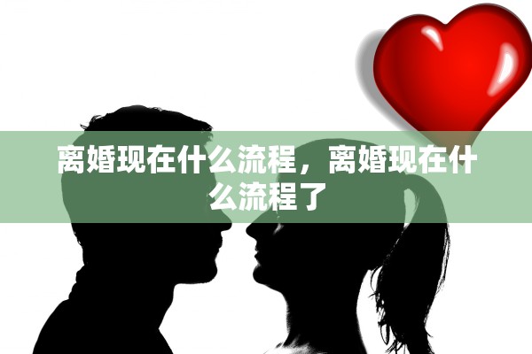 离婚现在什么流程，离婚现在什么流程了