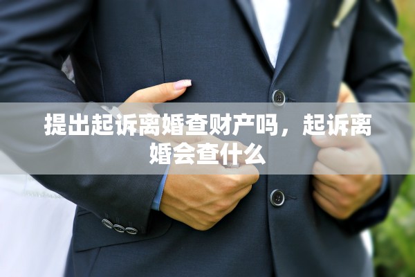 提出起诉离婚查财产吗，起诉离婚会查什么