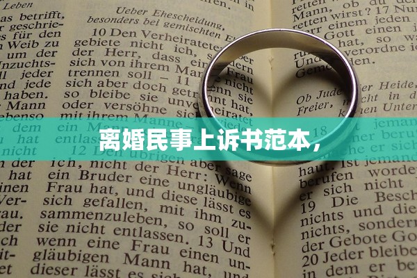 离婚民事上诉书范本，