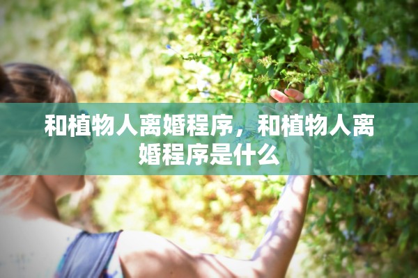 和植物人离婚程序，和植物人离婚程序是什么