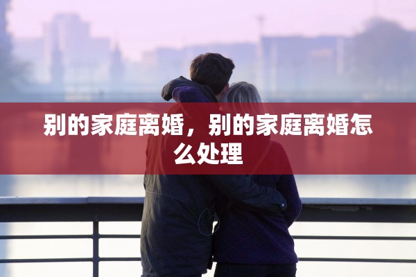 别的家庭离婚，别的家庭离婚怎么处理