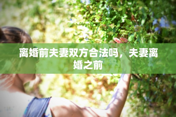 离婚前夫妻双方合法吗，夫妻离婚之前