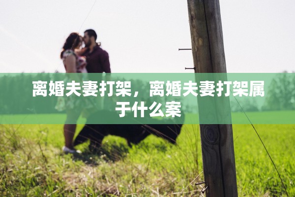 离婚夫妻打架，离婚夫妻打架属于什么案