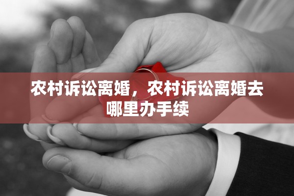 农村诉讼离婚，农村诉讼离婚去哪里办手续