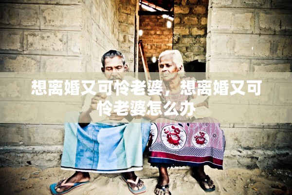 想离婚又可怜老婆，想离婚又可怜老婆怎么办
