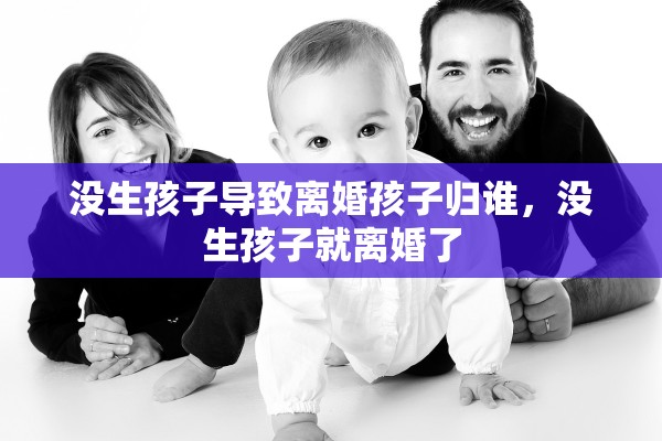 没生孩子导致离婚孩子归谁，没生孩子就离婚了