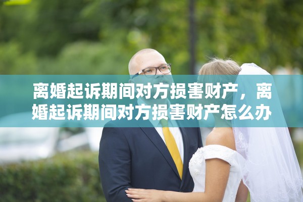 离婚起诉期间对方损害财产，离婚起诉期间对方损害财产怎么办