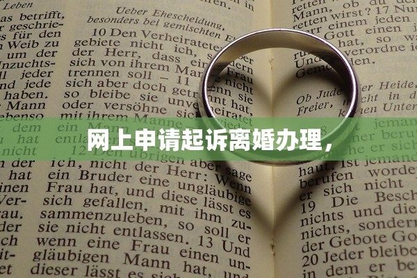 网上申请起诉离婚办理，