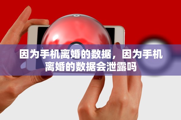因为手机离婚的数据，因为手机离婚的数据会泄露吗