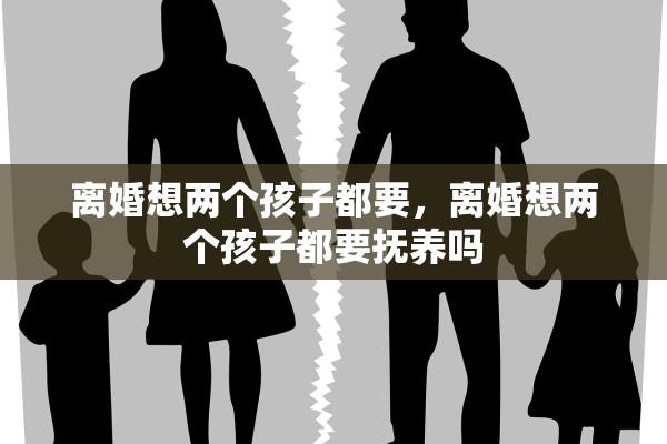 离婚想两个孩子都要，离婚想两个孩子都要抚养吗