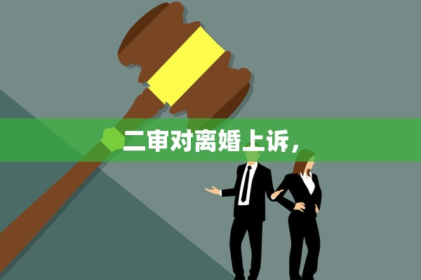 二审对离婚上诉，