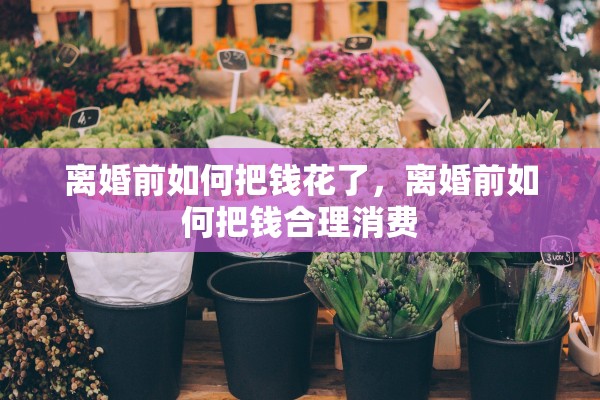 离婚前如何把钱花了，离婚前如何把钱合理消费