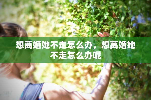想离婚她不走怎么办，想离婚她不走怎么办呢