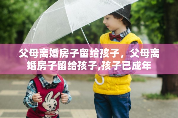 父母离婚房子留给孩子，父母离婚房子留给孩子,孩子已成年
