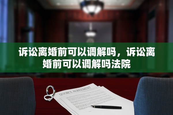 诉讼离婚前可以调解吗，诉讼离婚前可以调解吗法院