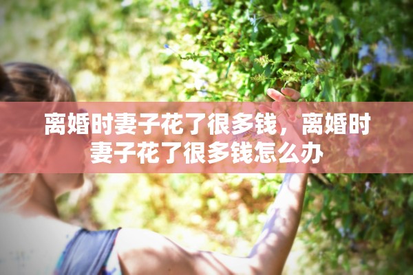 离婚时妻子花了很多钱，离婚时妻子花了很多钱怎么办