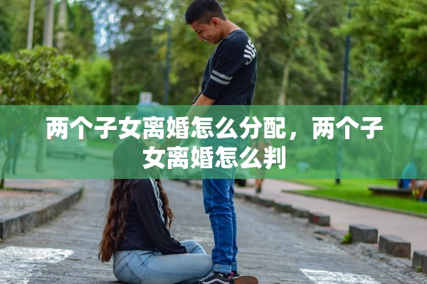 两个子女离婚怎么分配，两个子女离婚怎么判