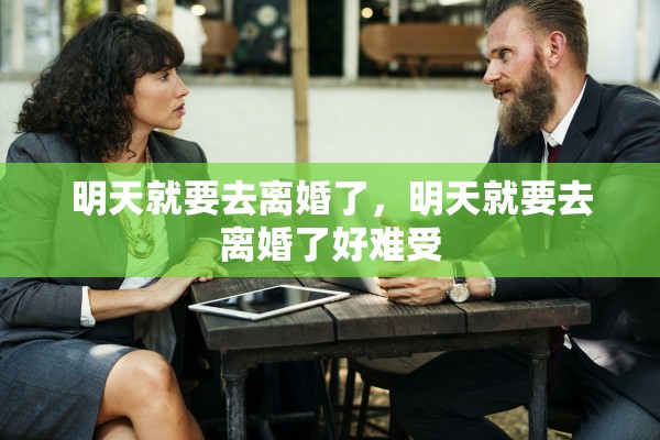 明天就要去离婚了，明天就要去离婚了好难受