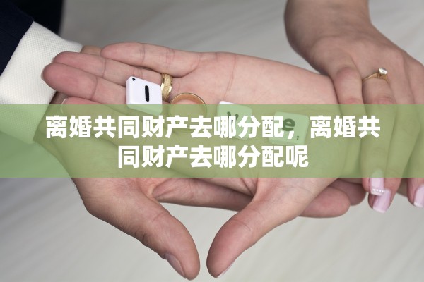 离婚共同财产去哪分配，离婚共同财产去哪分配呢