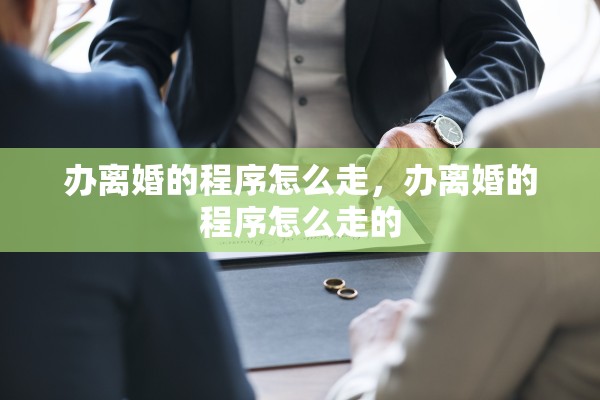 办离婚的程序怎么走，办离婚的程序怎么走的