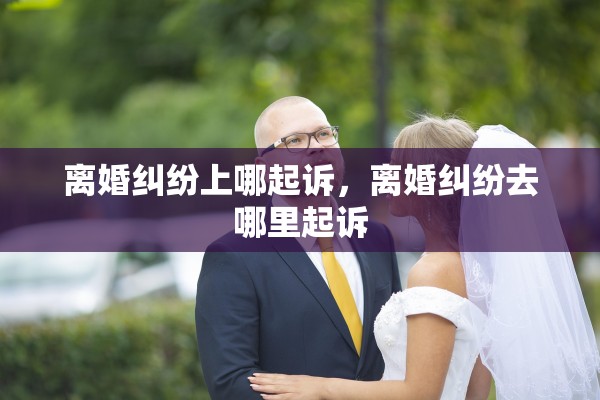 离婚纠纷上哪起诉，离婚纠纷去哪里起诉