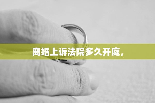 离婚上诉法院多久开庭，