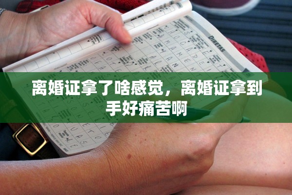 离婚证拿了啥感觉,离婚证拿到手好痛苦啊 离婚证拿了啥感觉,离婚证拿到手好痛苦啊