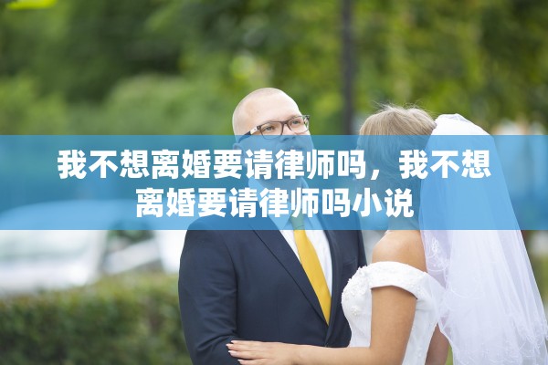 我不想离婚要请律师吗,我不想离婚要请律师吗小说 我不想离婚要请律师吗,我不想离婚要请律师吗小说