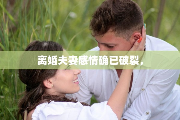 离婚夫妻感情确已破裂，