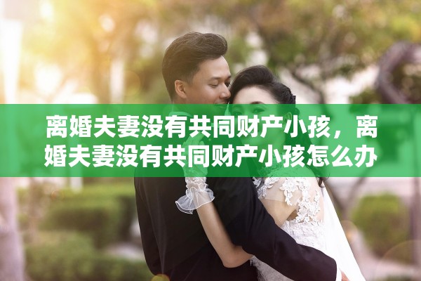 离婚夫妻没有共同财产小孩，离婚夫妻没有共同财产小孩怎么办