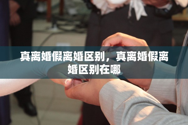 真离婚假离婚区别,真离婚假离婚区别在哪 真离婚假离婚区别,真离婚假离婚区别在哪