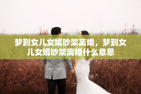 梦到女儿女婿吵架离婚,梦到女儿女婿吵架离婚什么意思 梦到女儿女婿吵架离婚,梦到女儿女婿吵架离婚什么意思