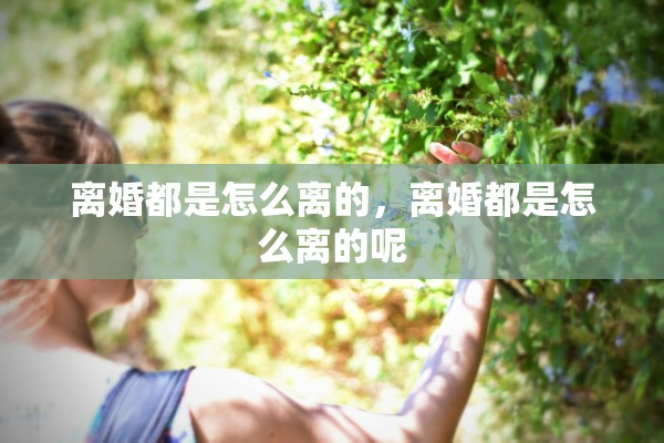 离婚都是怎么离的，离婚都是怎么离的呢