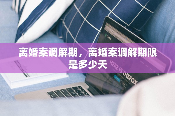 离婚案调解期，离婚案调解期限是多少天