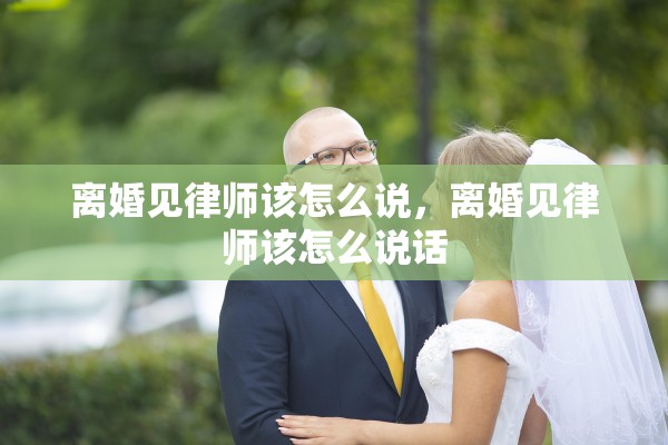 离婚见律师该怎么说，离婚见律师该怎么说话