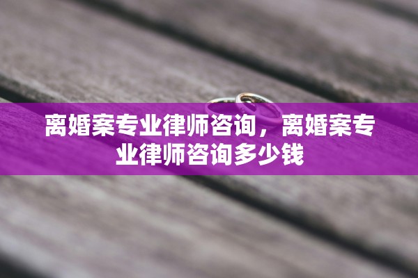 离婚案专业律师咨询，离婚案专业律师咨询多少钱