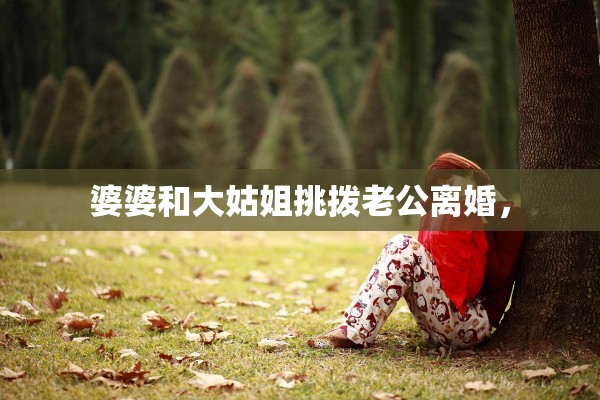 婆婆和大姑姐挑拨老公离婚，