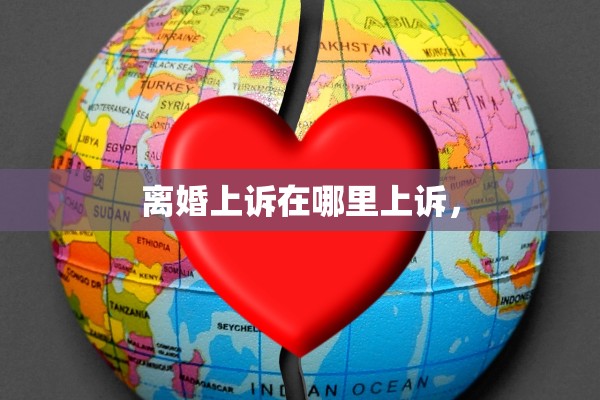 离婚上诉在哪里上诉, 离婚上诉在哪里上诉,