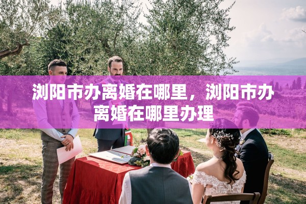 浏阳市办离婚在哪里,浏阳市办离婚在哪里办理 浏阳市办离婚在哪里,浏阳市办离婚在哪里办理