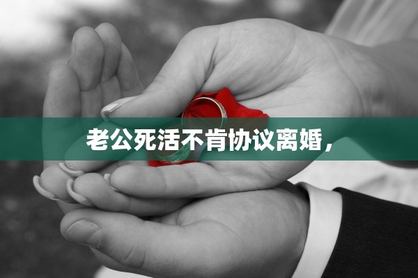 老公死活不肯协议离婚, 老公死活不肯协议离婚,