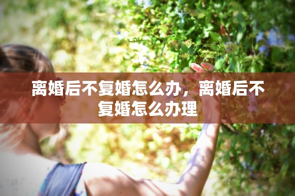 离婚后不复婚怎么办，离婚后不复婚怎么办理