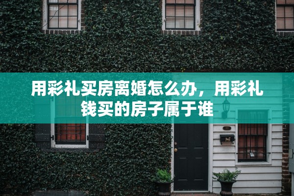 用彩礼买房离婚怎么办,用彩礼钱买的房子属于谁 用彩礼买房离婚怎么办,用彩礼钱买的房子属于谁
