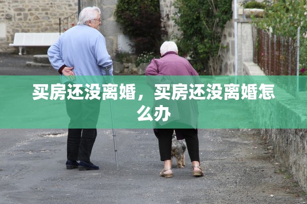 买房还没离婚，买房还没离婚怎么办