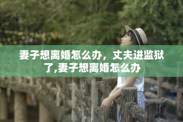 妻子想离婚怎么办,丈夫进监狱了,妻子想离婚怎么办 妻子想离婚怎么办,丈夫进监狱了,妻子想离婚怎么办