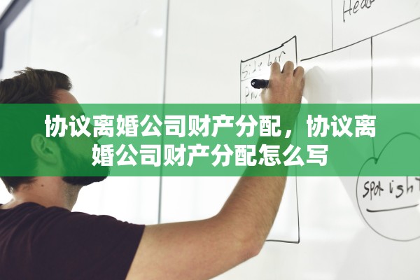 协议离婚公司财产分配，协议离婚公司财产分配怎么写