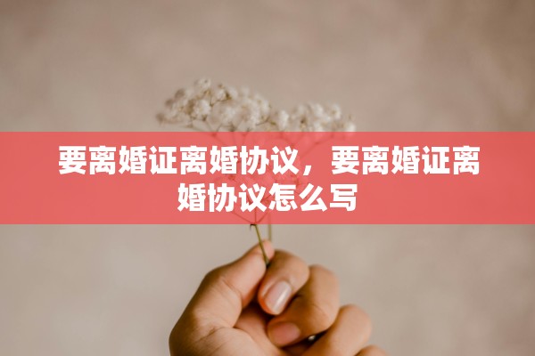 要离婚证离婚协议，要离婚证离婚协议怎么写