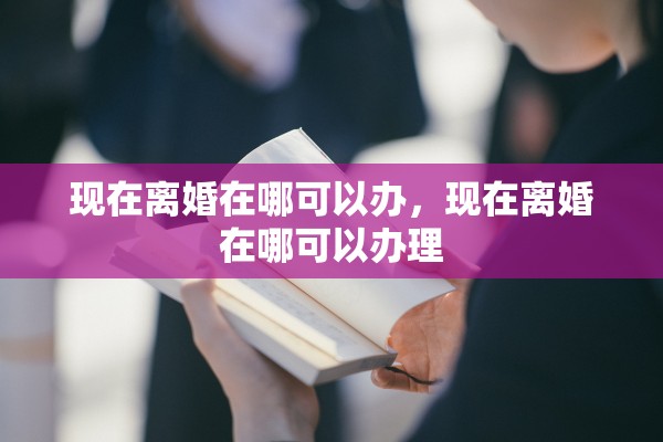 现在离婚在哪可以办，现在离婚在哪可以办理