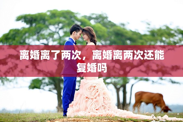 离婚离了两次,离婚离两次还能复婚吗 离婚离了两次,离婚离两次还能复婚吗