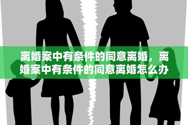 离婚案中有条件的同意离婚，离婚案中有条件的同意离婚怎么办